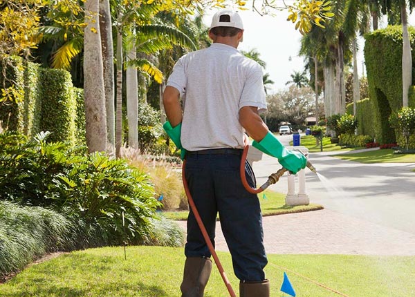 About Martin SC Pest Control Pros
